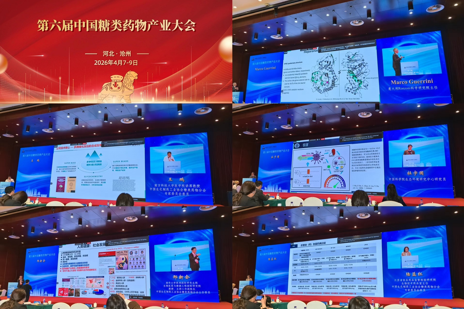 第六届糖类大会